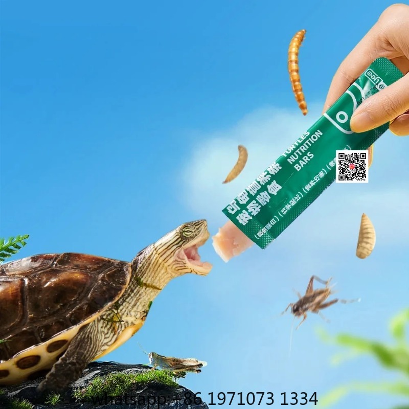Nutrition & Fitness Coaching Fulham - Yee Small Turtle Snacks Nutrition Meat