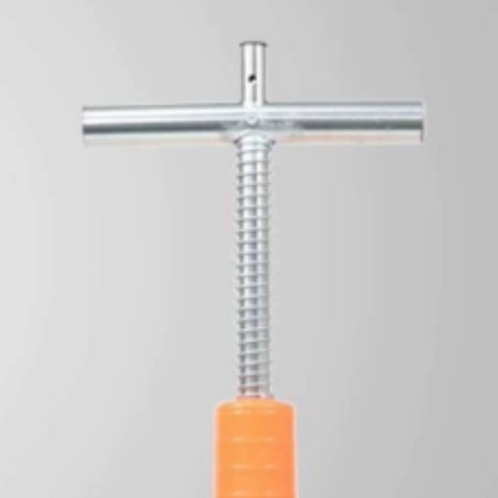 Nutrition & Fitness Coaching Fulham - Fertilizer Applicator with T Handle Pointed