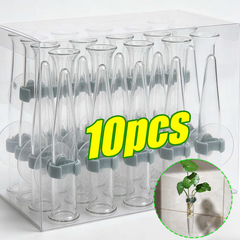 11cm Floral Water Tubes Plasti - Nutrition & Fitness Coaching Fulham 评论和价格