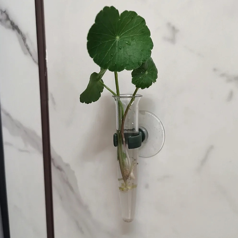 11cm Floral Water Tubes Plasti - Nutrition & Fitness Coaching Fulham 评论和价格