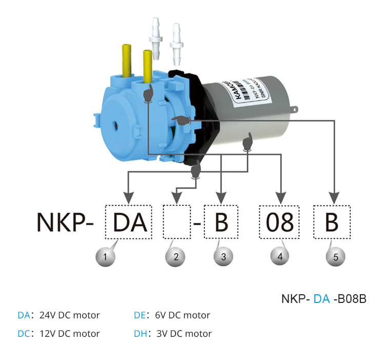 2026 new NKP 6V 12V 24V DC mot - Nutrition & Fitness Coaching Fulham 评论和价格