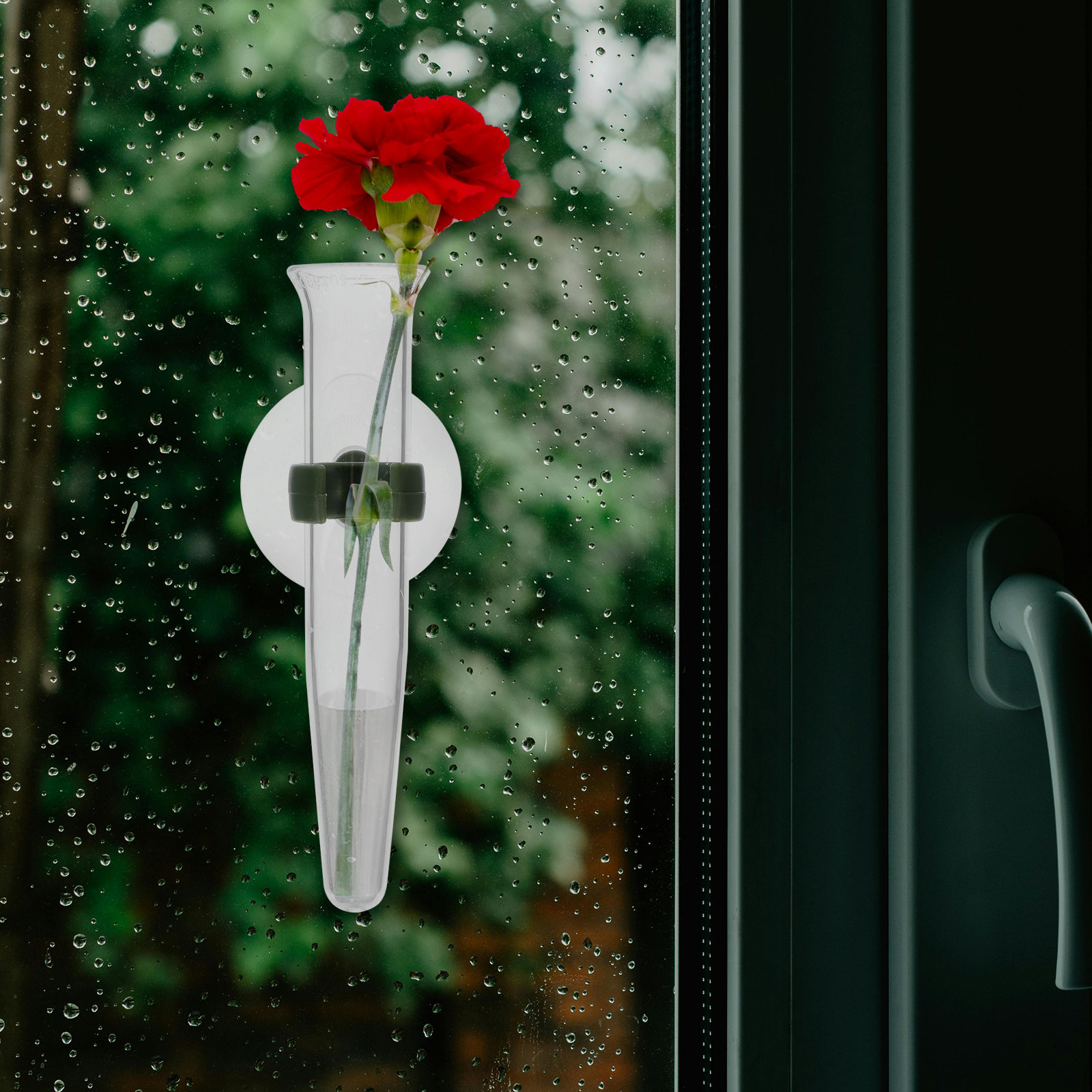 8Pcs Flower Hose Storage Silic - Nutrition & Fitness Coaching Fulham 评论和价格