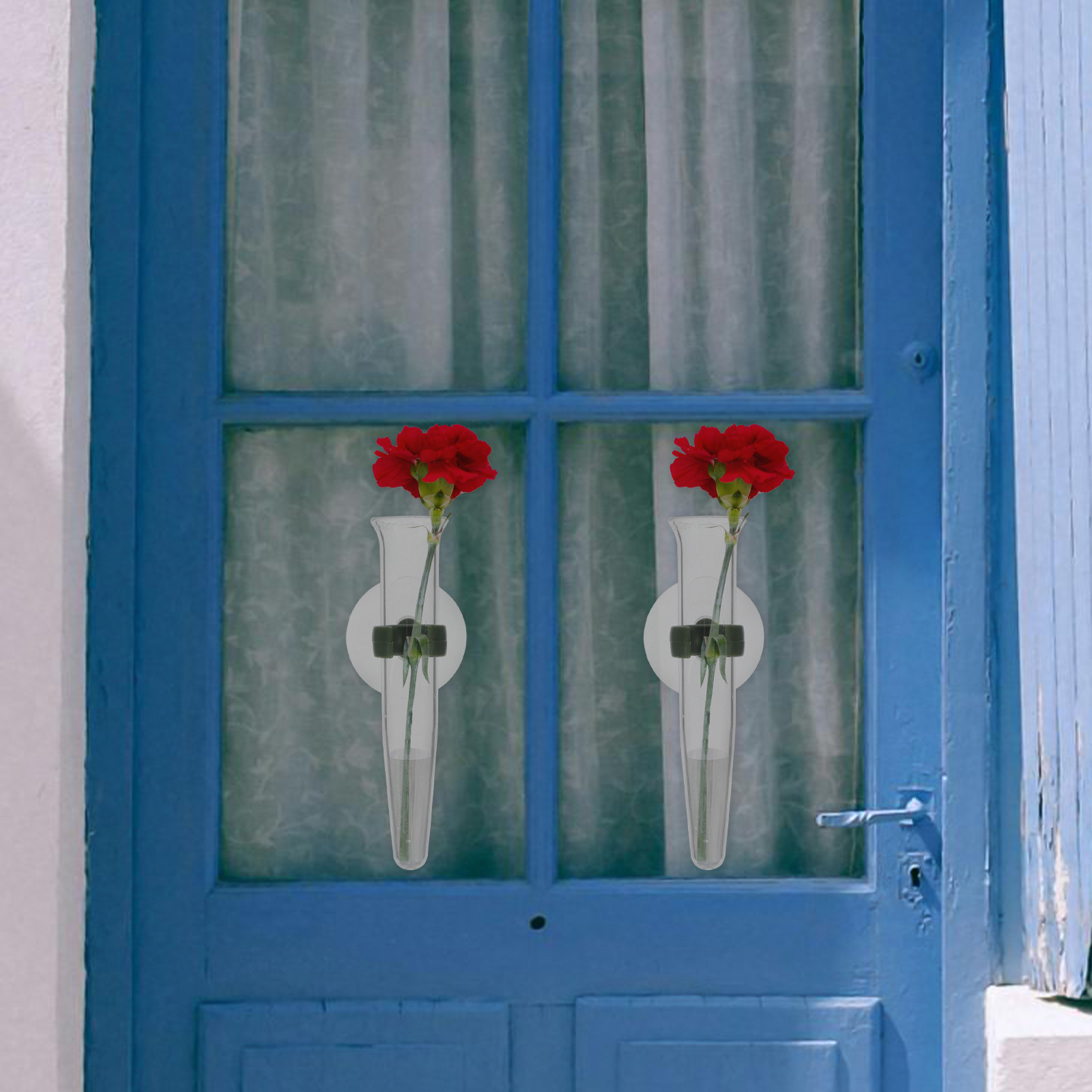 8Pcs Flower Hose Storage Silic - Nutrition & Fitness Coaching Fulham 评论和价格